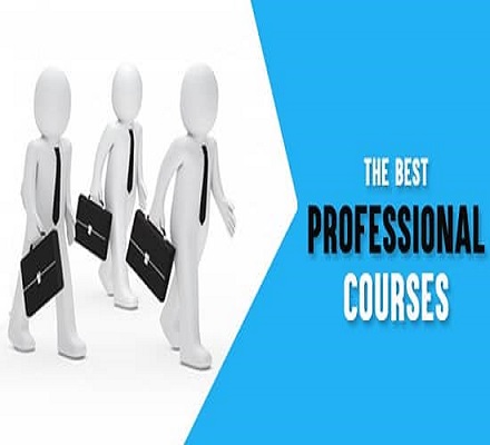 Professional Certification Course